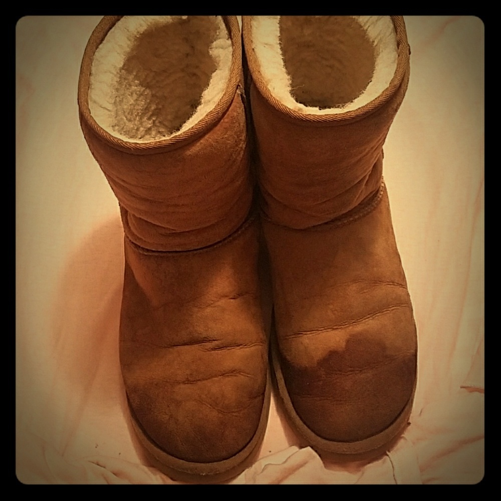 Chestnut uggs